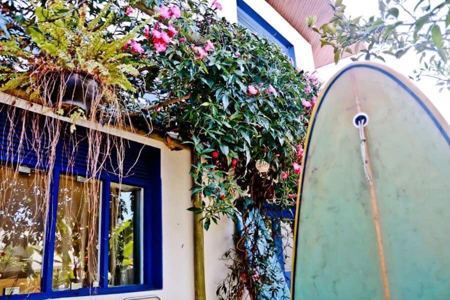 Casa Bossa Nova Guesthouse Ubatuba Esterno foto